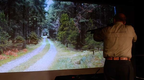 chasse sanglier simulatir64