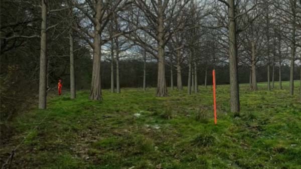 Forêt chasse simulatir64